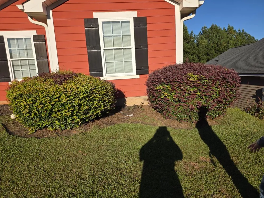 Reliable lawn care service for outdoor upgrades in Seneca, SC by All In Lawn Legends Services