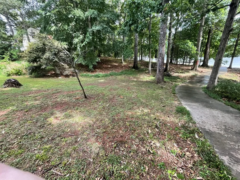 Reliable landscape design in Seneca, SC - All In Lawn Legends Services