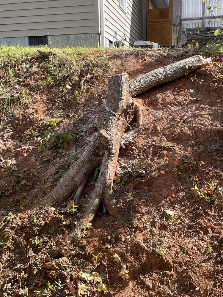 Custom landscaping services for year-round maintenance across Seneca, SC - All In Lawn Legends Services