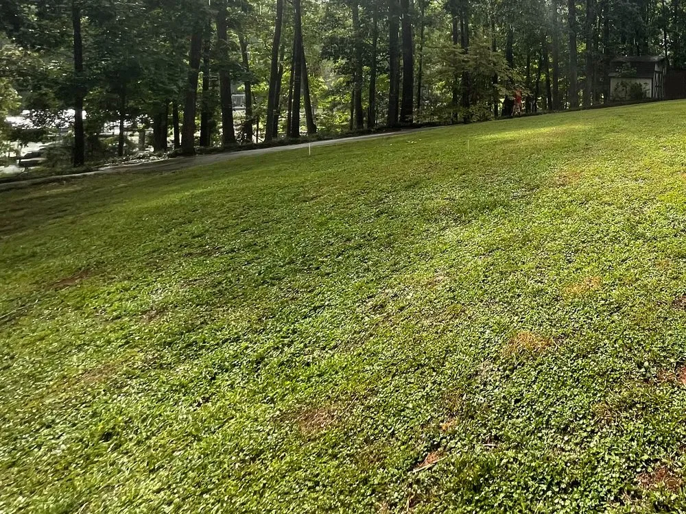 Local landscape installation experts serving Seneca, SC - All In Lawn Legends Services