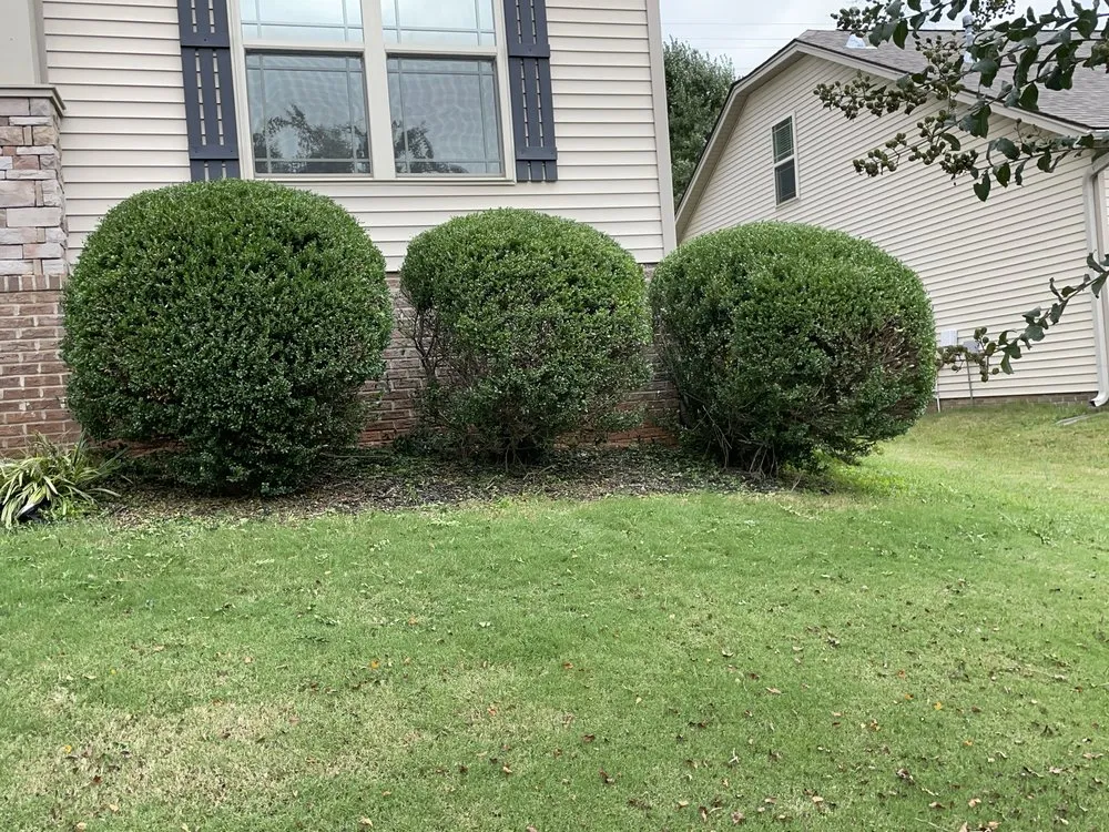 Professional garden landscaping in Seneca, SC - All In Lawn Legends Services