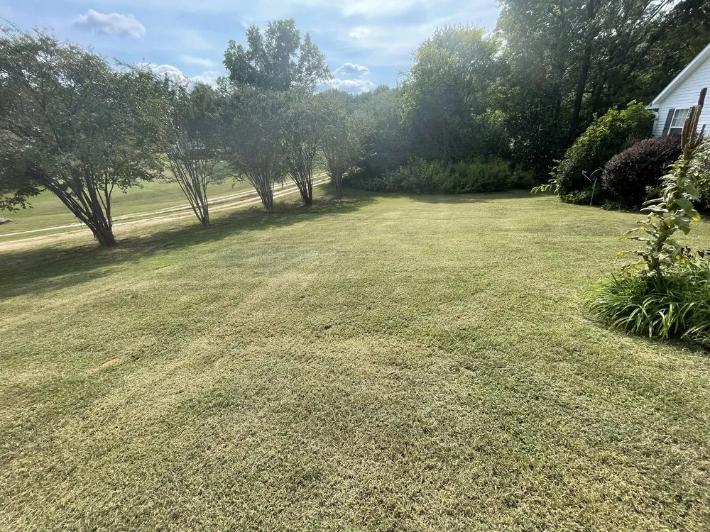 Reliable landscape design near you in Seneca, SC by All In Lawn Legends Services