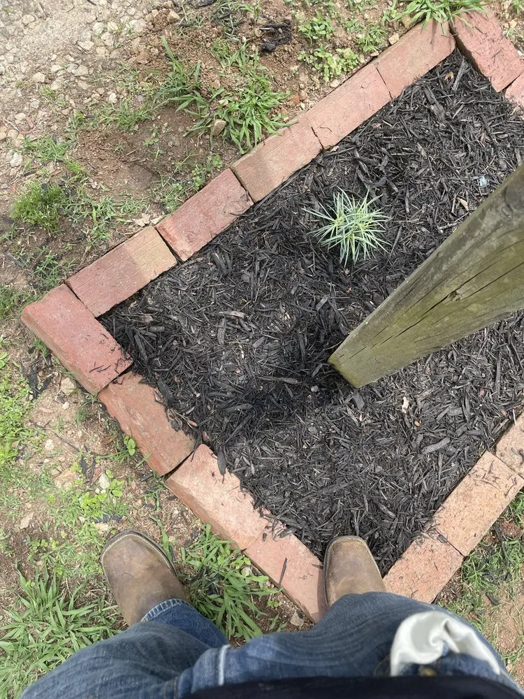 Reliable lawn care service experts serving Seneca, SC - All In Lawn Legends Services