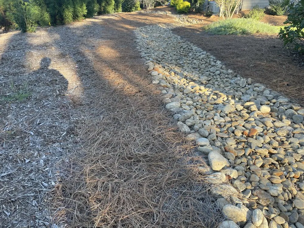 Trusted yard cleanup service experts serving Seneca, SC - All In Lawn Legends Services