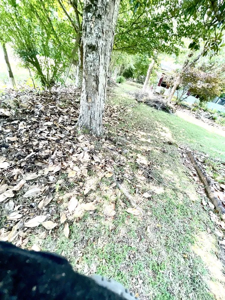 Custom yard maintenance for residential properties across Seneca, SC - All In Lawn Legends Services