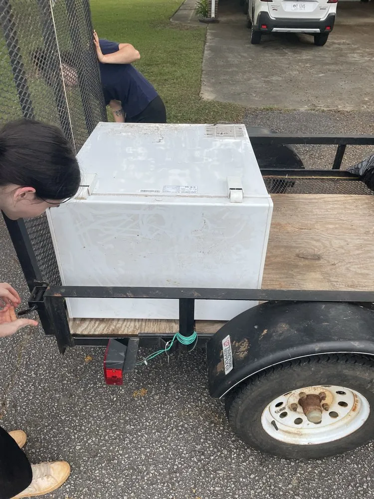 Local yard cleanup service for homes in Seneca, SC by All In Lawn Legends Services