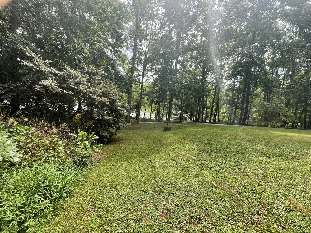 Local landscaping services in Seneca, SC by All In Lawn Legends Services