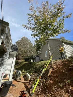 All In Lawn Legends Services