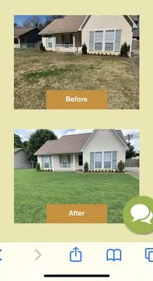 All in lawn services