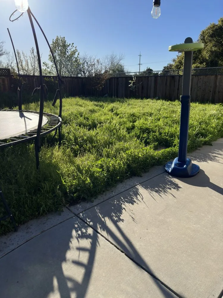 Local yard cleanup service for homes across Antioch, CA - All In Lawncare & Landscaping