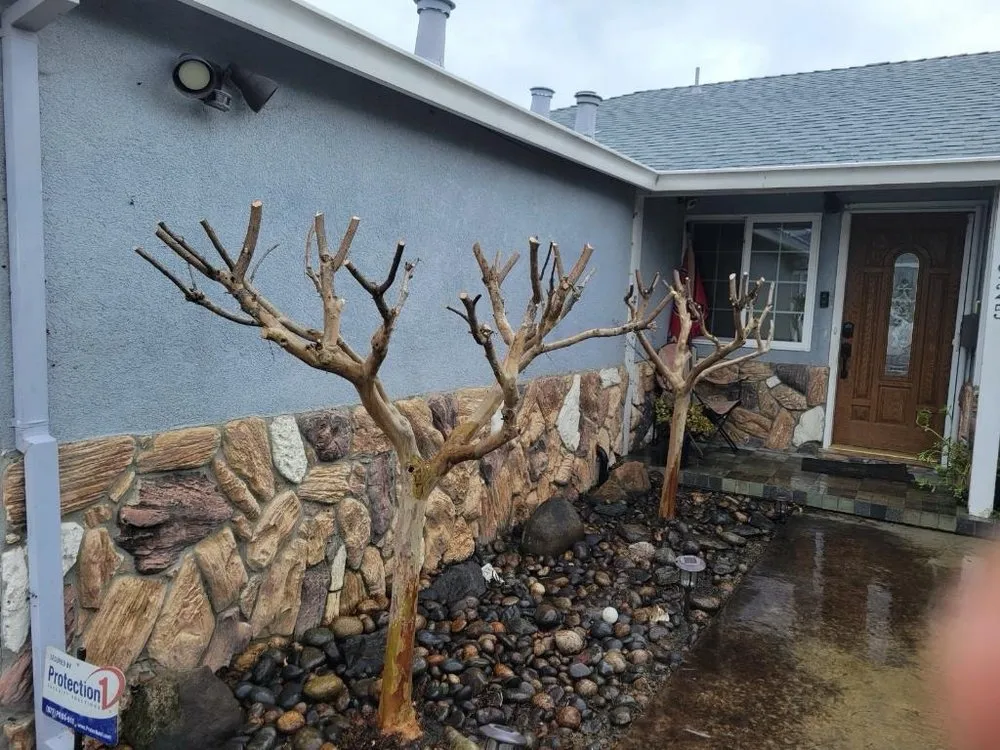 Top-rated landscaping services for beautiful yards in Antioch, CA by All In Lawncare & Landscaping