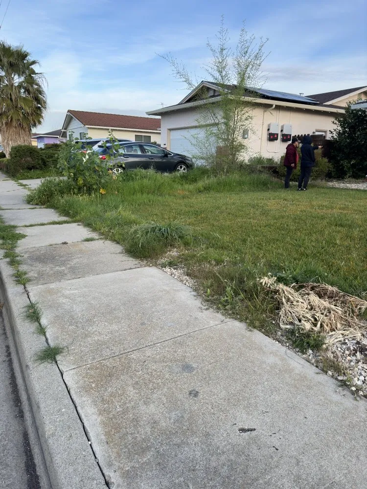 Top-rated yard maintenance in Antioch, CA - All In Lawncare & Landscaping