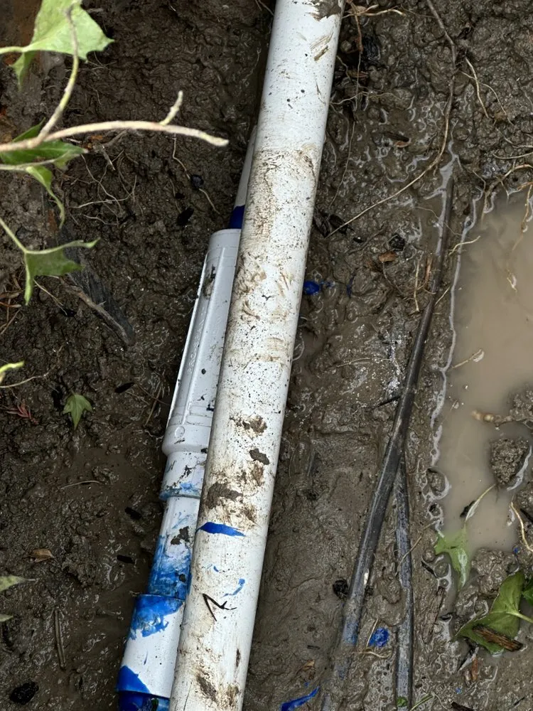 Top-rated residential landscaping in Antioch, CA - All In Lawncare & Landscaping