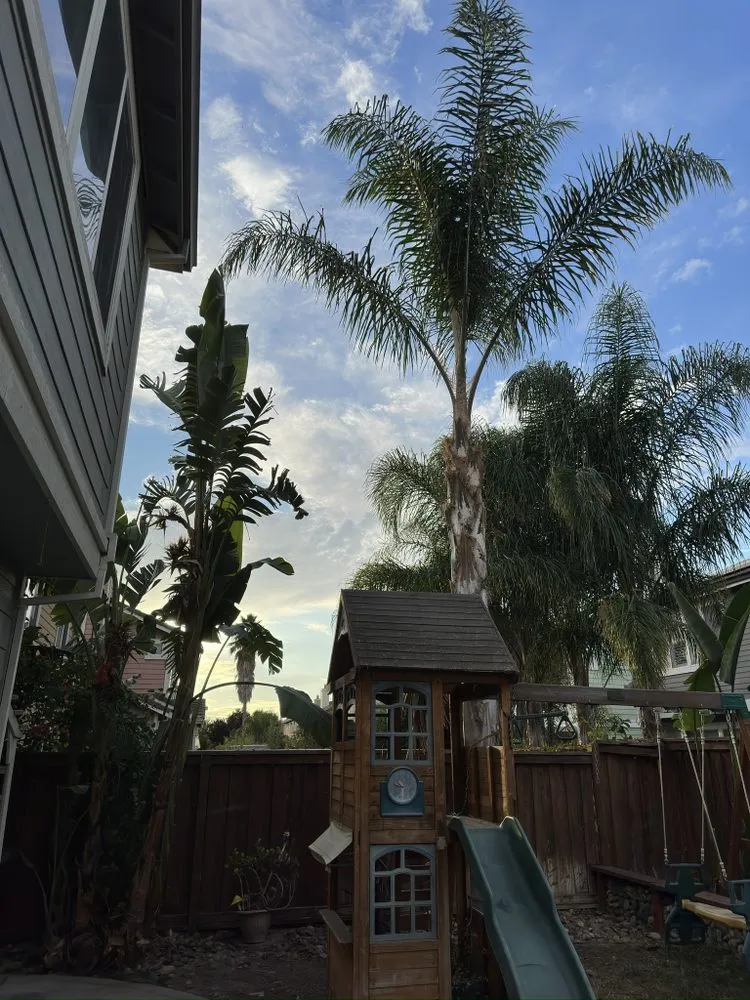 Expert lawn mowing service for residential properties in Antioch, CA by All In Lawncare & Landscaping