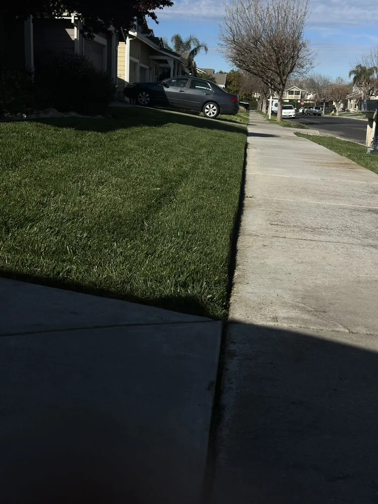 Professional landscaping services for beautiful yards across Antioch, CA - All In Lawncare & Landscaping