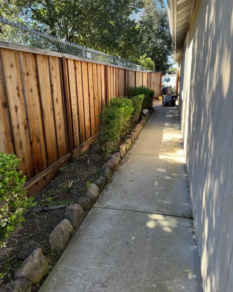 Trusted lawn care service in Antioch, CA by All In Lawncare & Landscaping