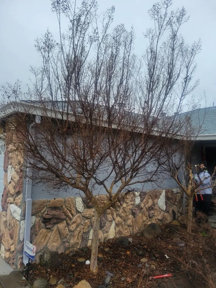 Expert landscape installation in Antioch, CA - All In Lawncare & Landscaping