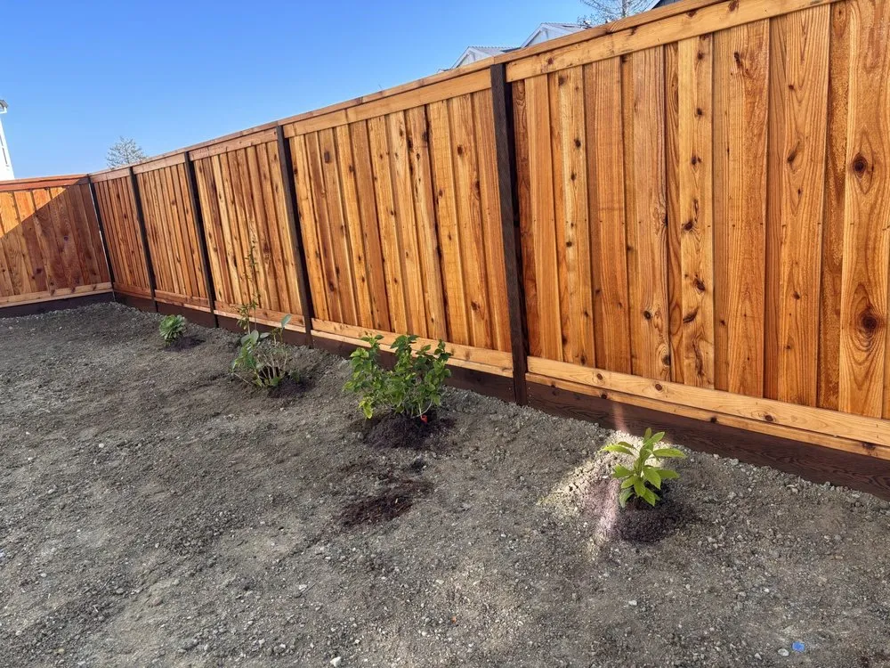 Top-rated outdoor landscaping in Antioch, CA - All In Lawncare & Landscaping