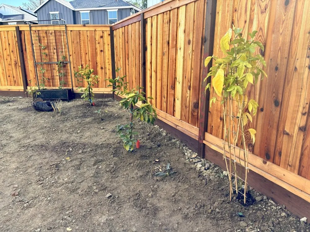 Expert landscape design for homes in Antioch, CA by All In Lawncare & Landscaping