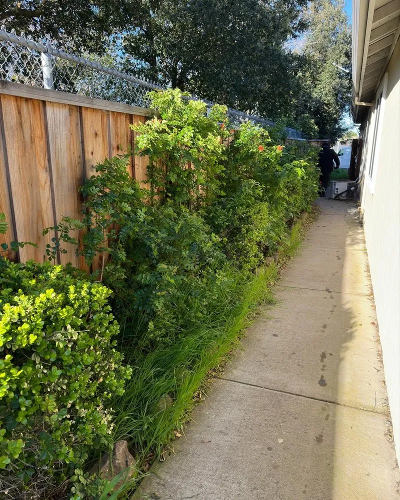 Custom landscaping services experts serving Antioch, CA - All In Lawncare & Landscaping