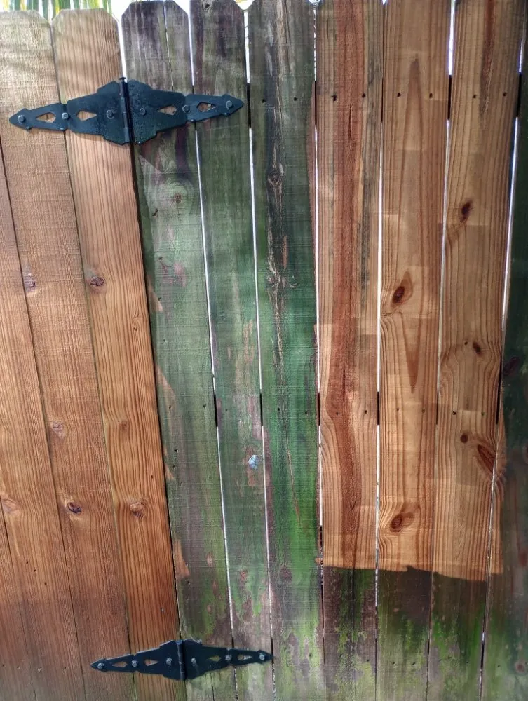 Expert landscape design for beautiful yards in Biloxi, MS by All In Mobile Services