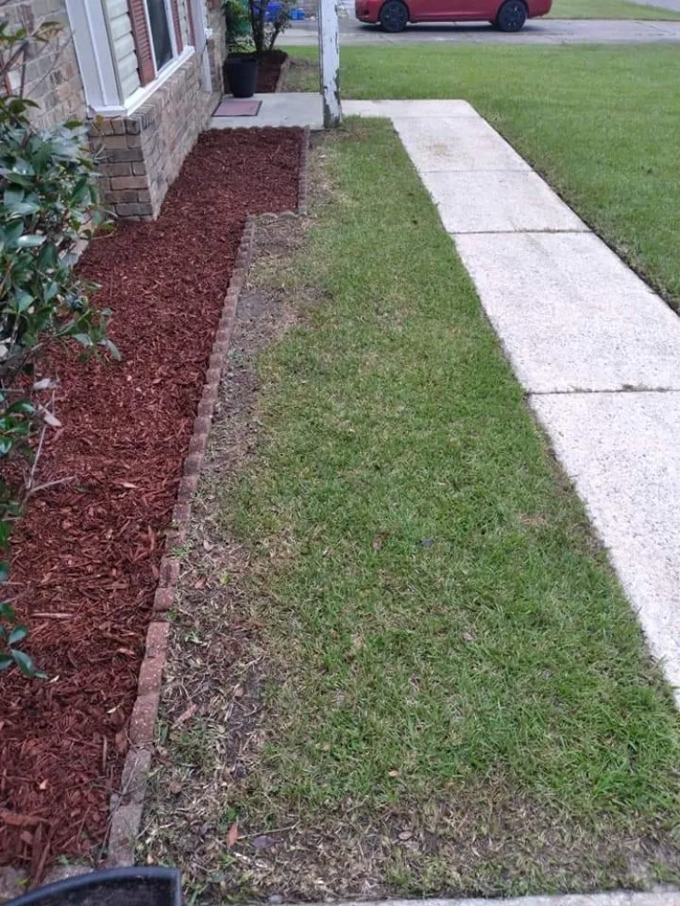 Reliable lawn mowing service experts serving Biloxi, MS - All In Mobile Services