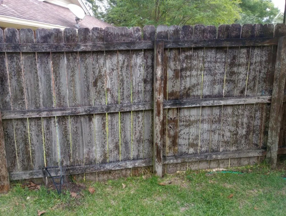 Expert outdoor landscaping in Biloxi, MS - All In Mobile Services