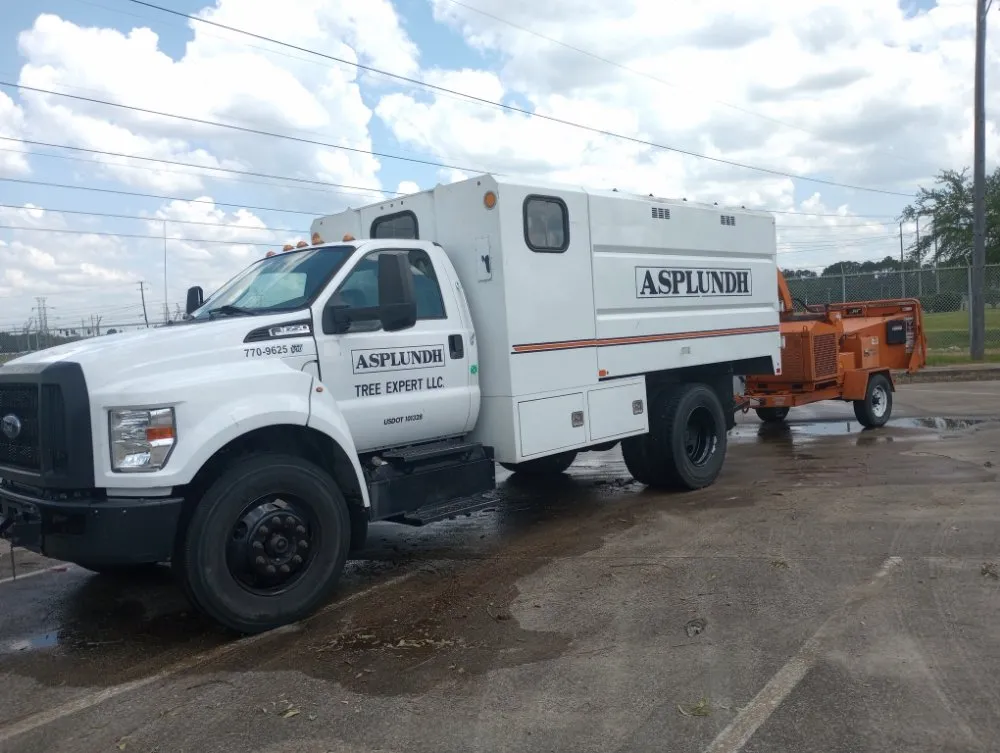 Top-rated landscape installation in Biloxi, MS - All In Mobile Services