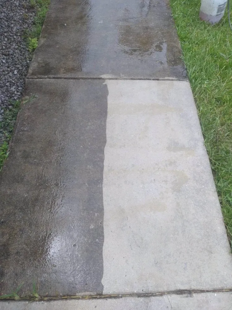 Local yard cleanup service for homes across Biloxi, MS - All In Mobile Services