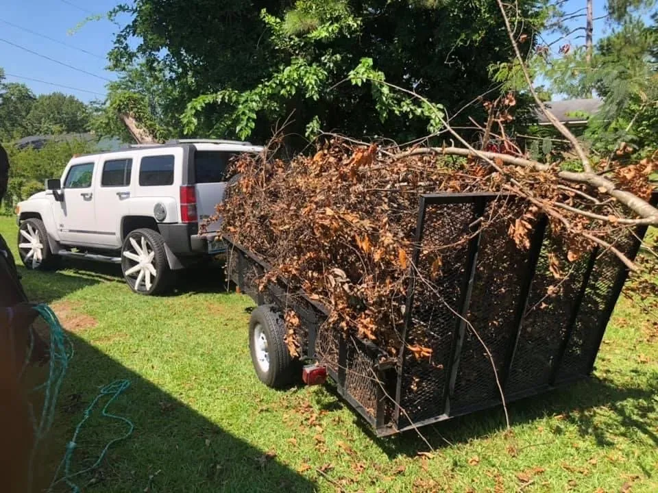 Expert lawn care service experts serving Florence, SC - All in no shorts