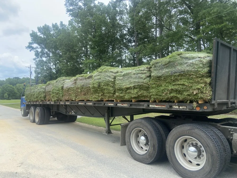 Expert outdoor landscaping for beautiful yards in Florence, SC by All in no shorts