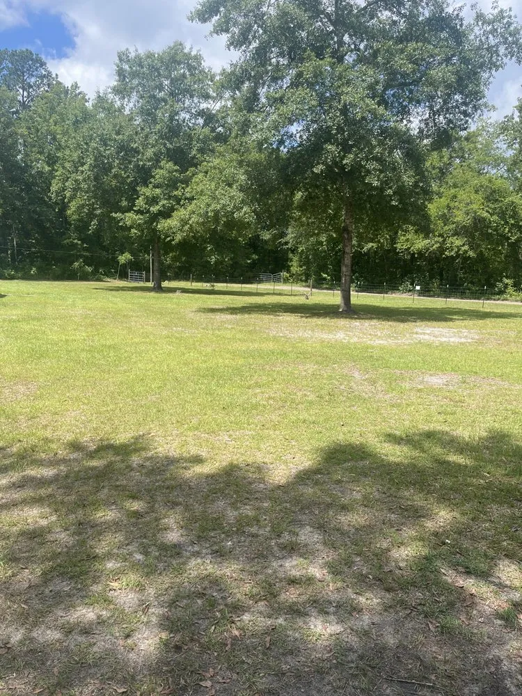 Expert landscaping services in North Charleston, SC - All In One Construction