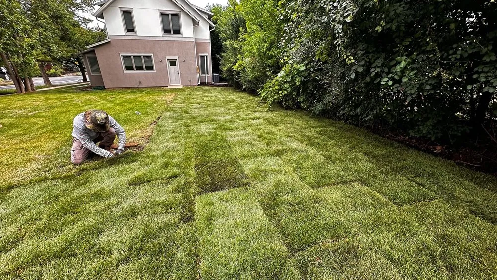 Reliable yard cleanup service in Denver, CO by All In One