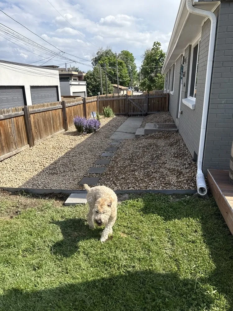 Trusted residential landscaping for residential properties across Denver, CO - All In One