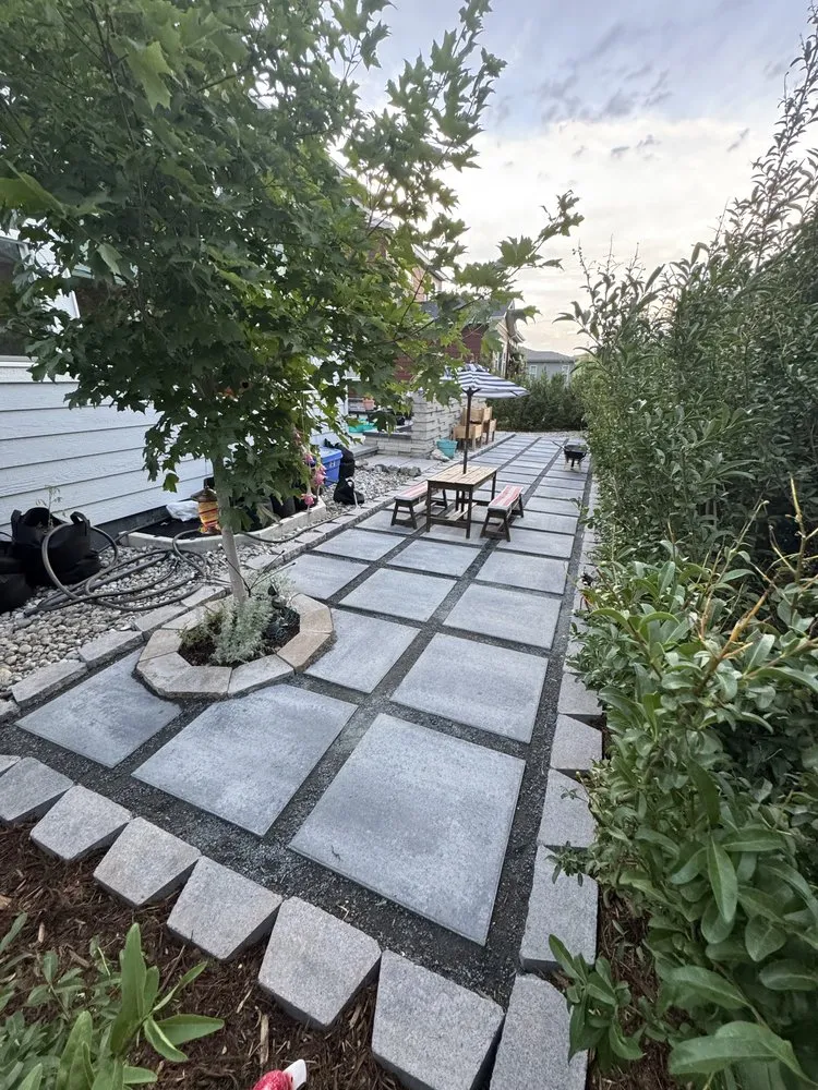 Trusted yard cleanup service experts serving Denver, CO - All In One