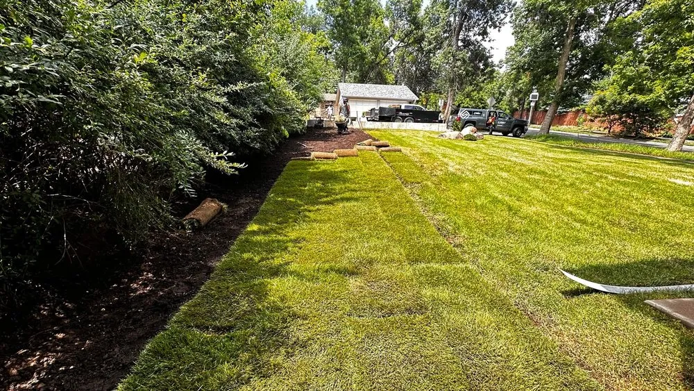 Top-rated landscape design experts serving Denver, CO - All In One