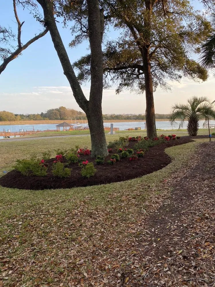 Local landscaping services in Supply, NC - All in one Eite Landscaping