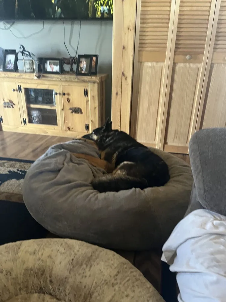 Local lawn care service in Fort Edward, NY - All In One