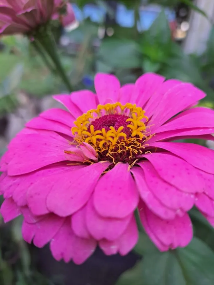 Local landscaping services experts serving Henderson, KY - All In One