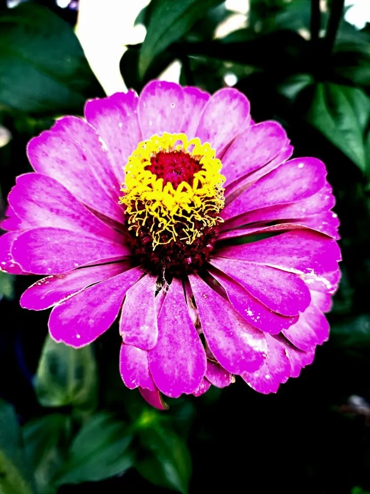 Custom lawn care service for residential properties across Henderson, KY - All In One