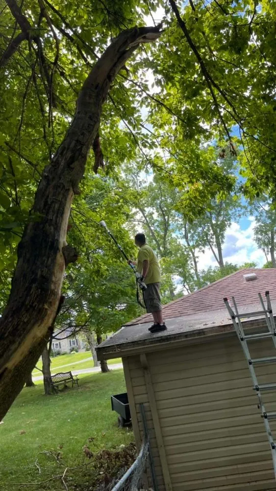 Trusted yard cleanup service in Dayton, OH by All In One Home and Lawn Care