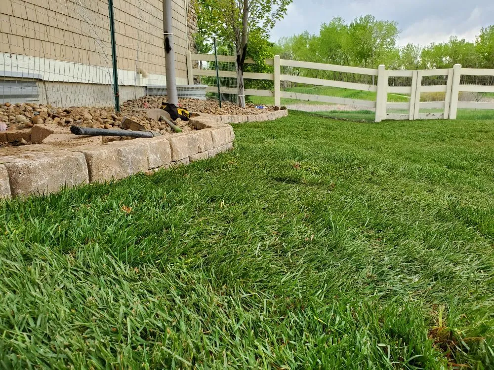 Custom yard cleanup service experts serving Henderson, CO - All In One Home Service