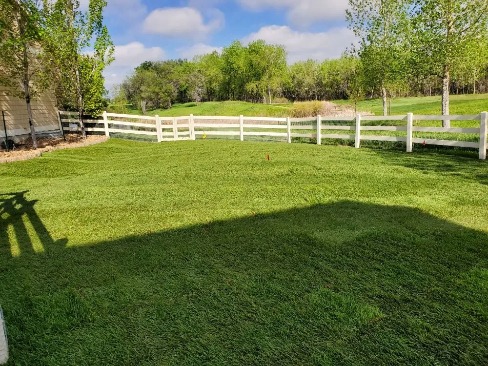 Reliable yard maintenance in Henderson, CO - All In One Home Service