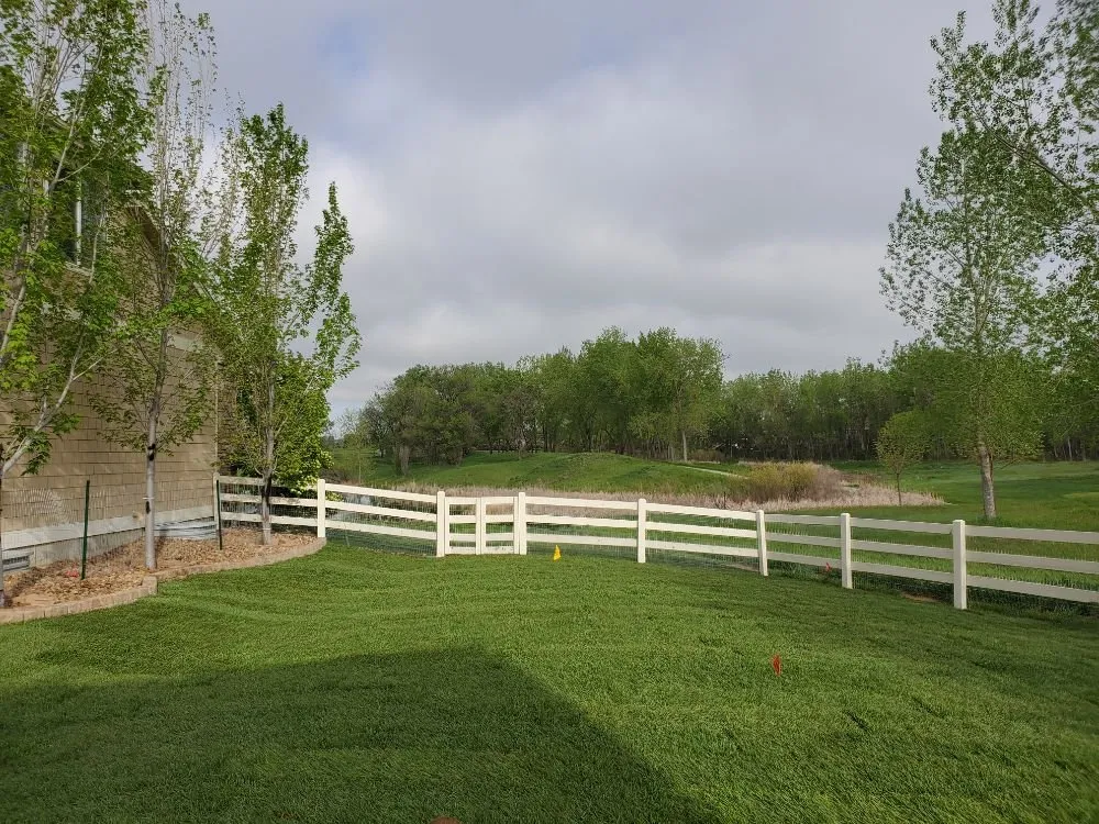 Trusted lawn care service in Henderson, CO by All In One Home Service