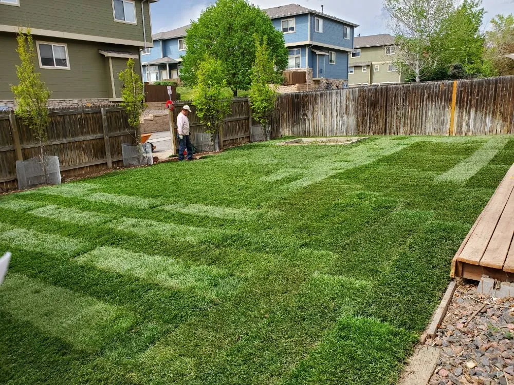 Custom outdoor landscaping in Henderson, CO - All In One Home Service