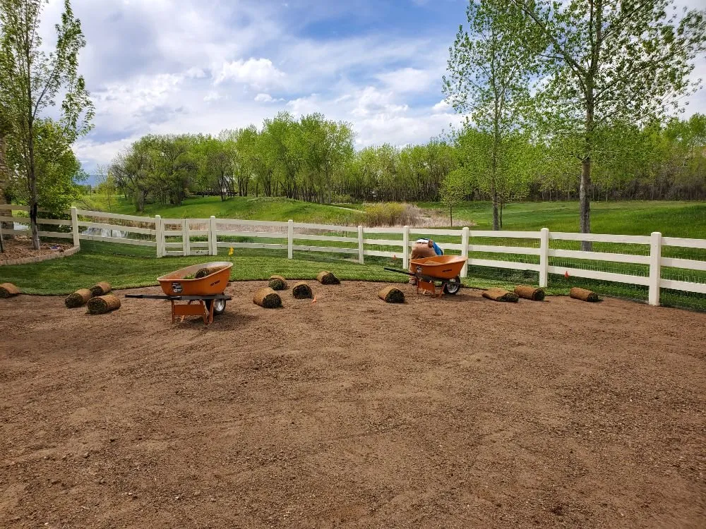 Trusted lawn care service in Henderson, CO - All In One Home Service