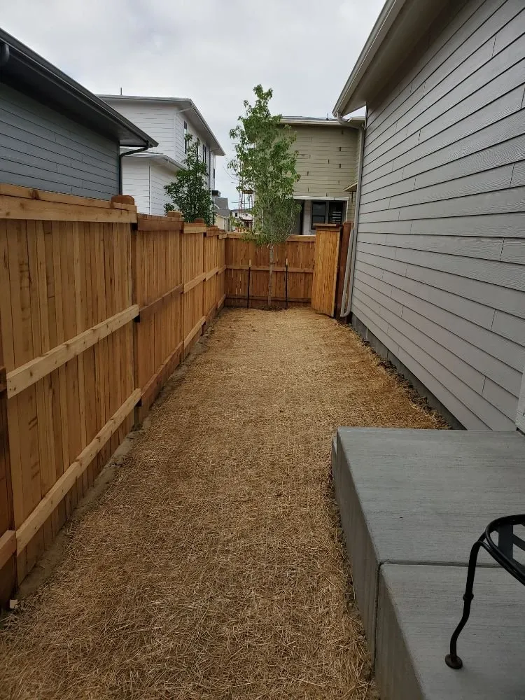 Reliable landscaping services in Henderson, CO - All In One Home Service