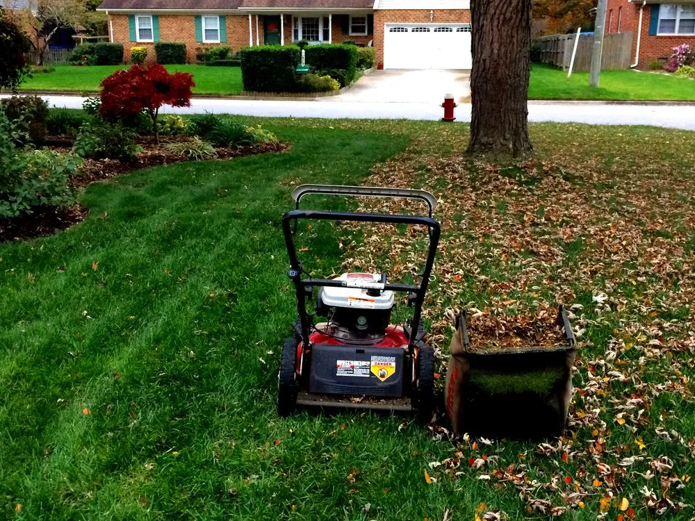 Reliable yard maintenance experts serving Concord, NC - All in One Homestead