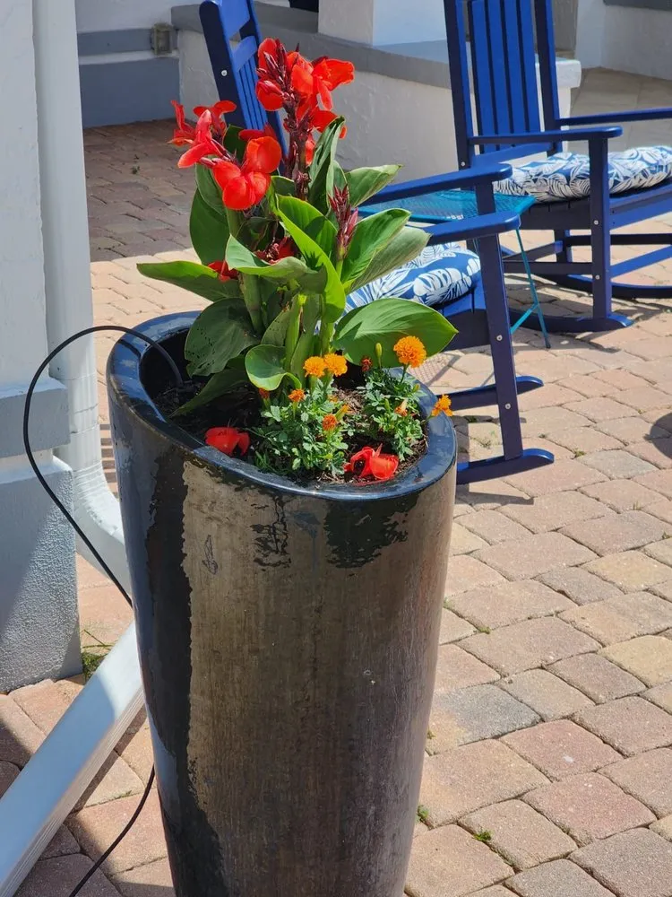 Reliable yard cleanup service in Punta Gorda, FL - All In One Irrigation And Repair