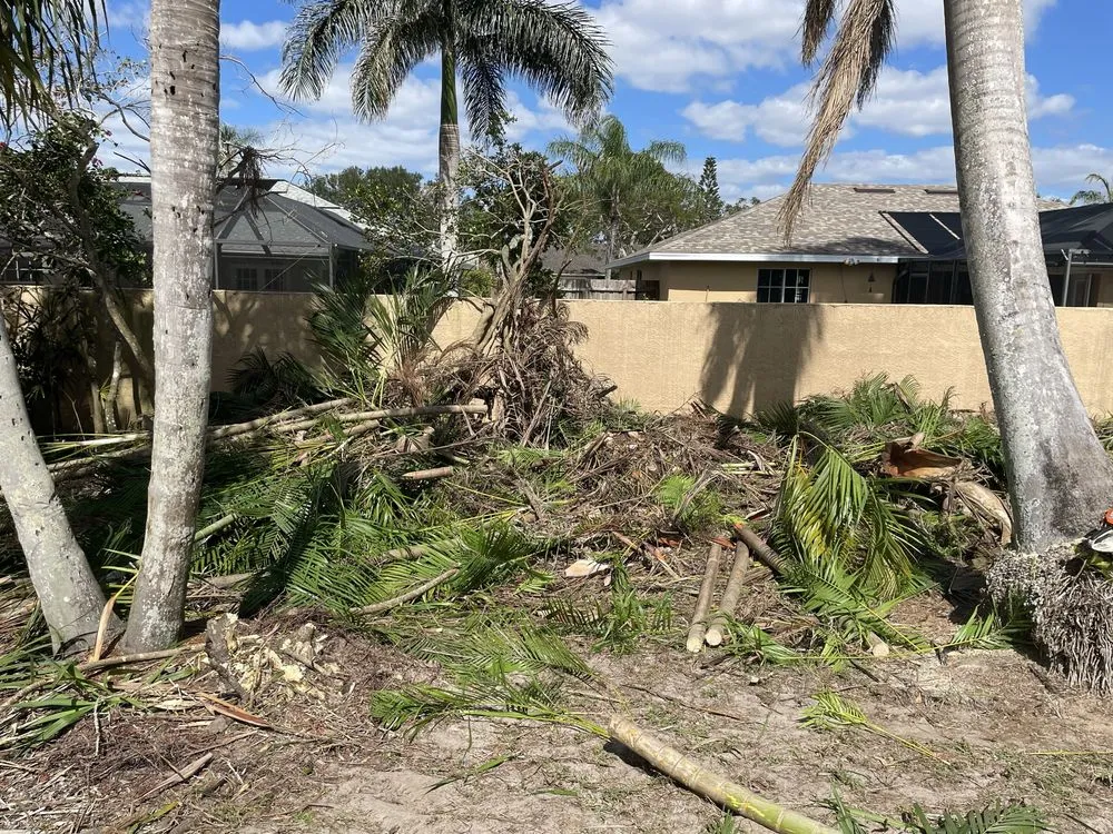Local landscape installation with custom design in Punta Gorda, FL by All In One Irrigation And Repair